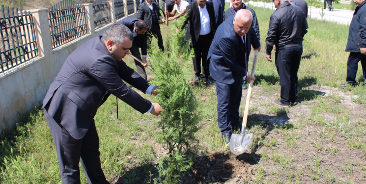 Laçınlı məcburi köçkünlər “Konstitusiya və Suverenlik İli”nə həsr olunmuş ağacəkmə aksiyasında fəal iştirak etmişlər.